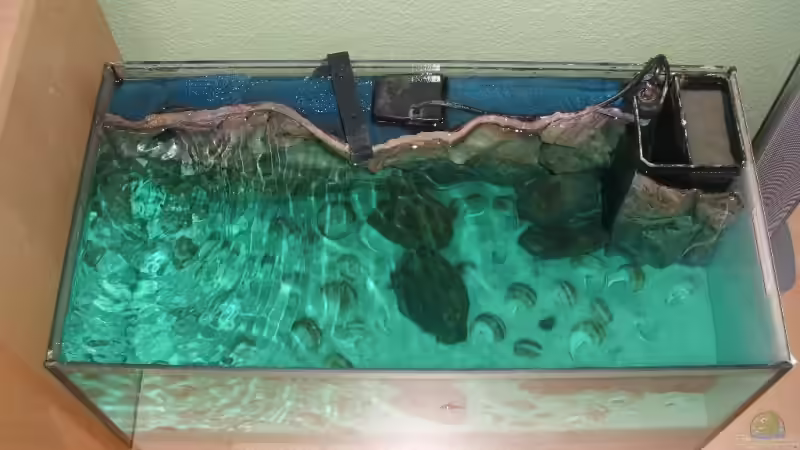 Technik im Aquarium Becken 6354 von Fabian Schulte (35)