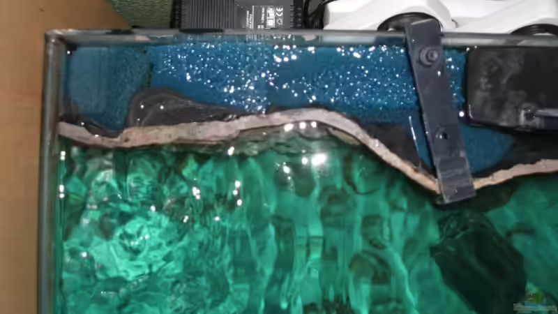 Technik im Aquarium Becken 6354 von Fabian Schulte (36)