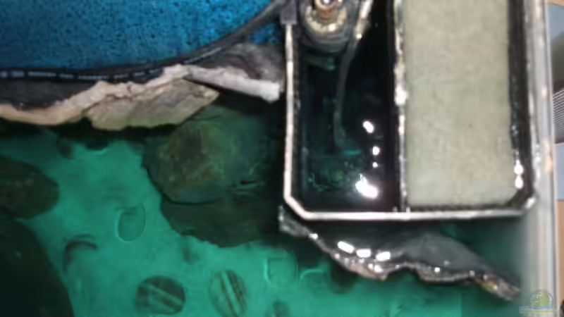 Technik im Aquarium Becken 6354 von Fabian Schulte (38)