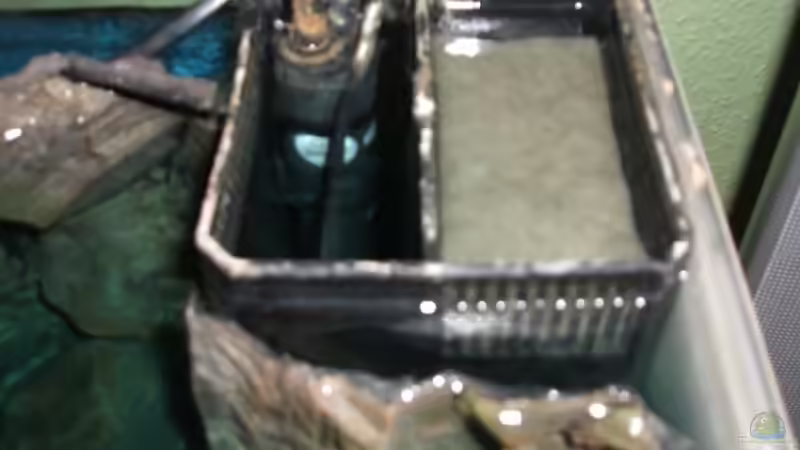 Technik im Aquarium Becken 6354 von Fabian Schulte (39)