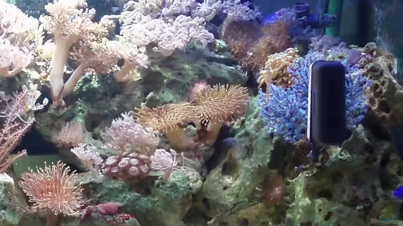 Technik im Aquarium Becken 6362 von Eva Göschl (30)