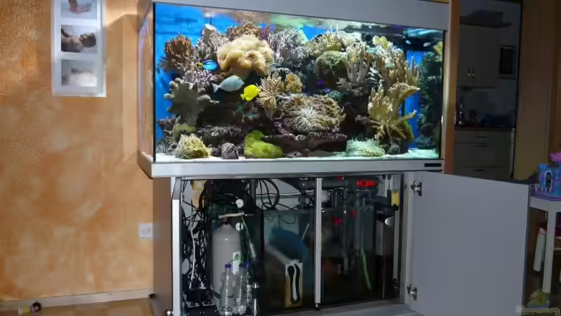 Technik im Aquarium Becken 6379 von Thomas Maik (32)