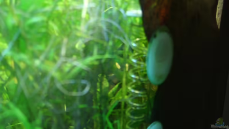 Technik im Aquarium Becken 6460 von Titan (9)