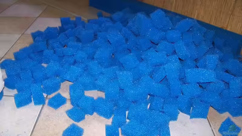 Technik im Aquarium Becken 650 von Sandro Di Giandomenico (21)