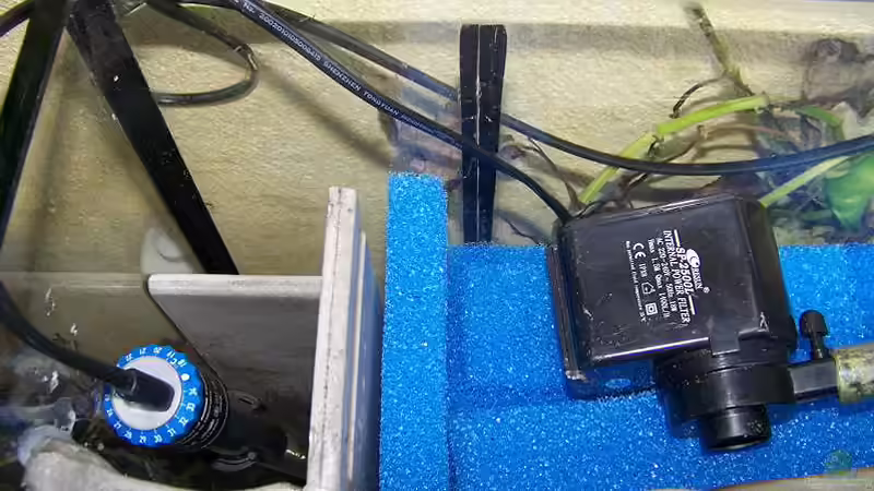 Technik im Aquarium Becken 650 von Sandro Di Giandomenico (23)