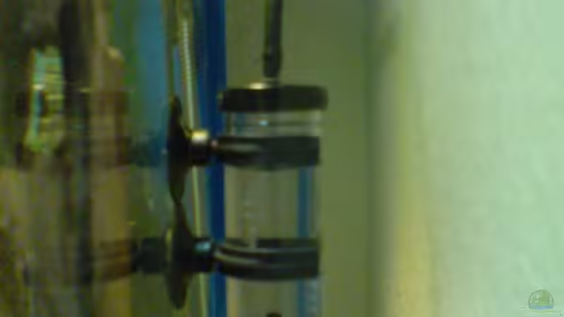 Technik im Aquarium Becken 6541 von Sascha Nagy (9)