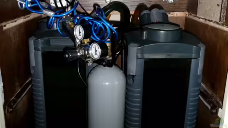 Technik im Aquarium Becken 655 von Harry van Scherpenzeel (5)