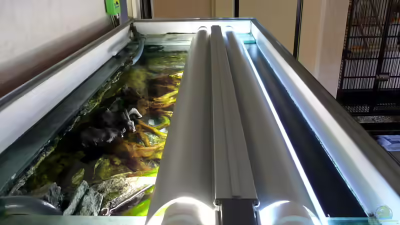 Technik im Aquarium Becken 655 von Harry van Scherpenzeel (6)