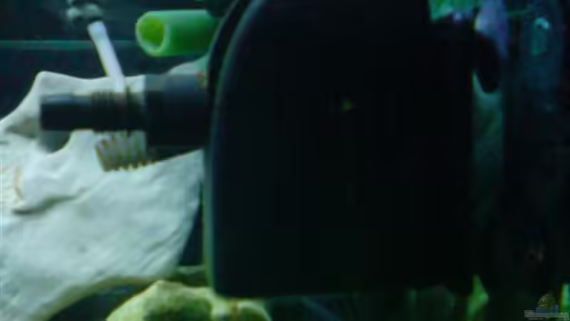 Technik im Aquarium Becken 6558 von Aqua-Man11 (22)