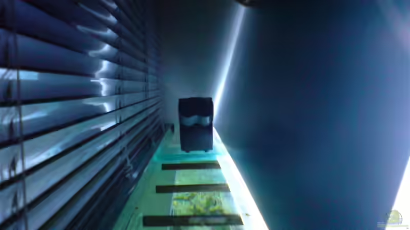 Technik im Aquarium Becken 6558 von Aqua-Man11 (23)