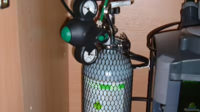 Technik im Aquarium Becken 6595 von Björn König (5)