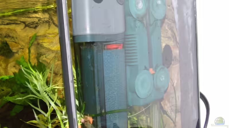 Technik im Aquarium Becken 6789 von Monika Panksy (11)