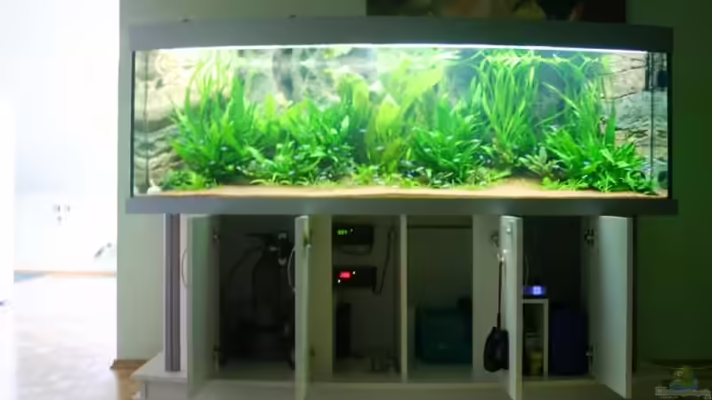 Technik im Aquarium Becken 6860 von Gerd Gerok (13)