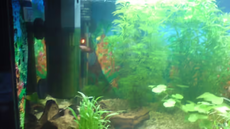 Technik im Aquarium Becken 6951 von Marko Petrovic (9)