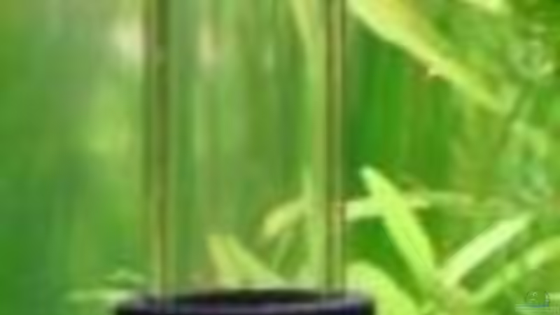 Technik im Aquarium Becken 6960 von Rico (22)