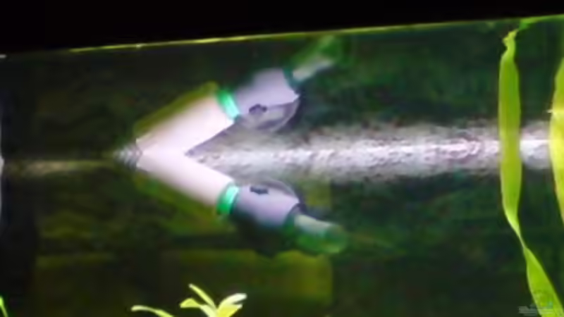 Technik im Aquarium Becken 6960 von Rico (24)