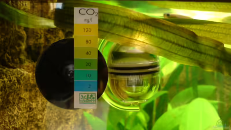 Technik im Aquarium Becken 6962 von Sebastian Jänsch (13)