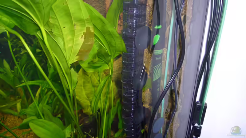 Technik im Aquarium Becken 6988 von Gerhard Kittel (11)