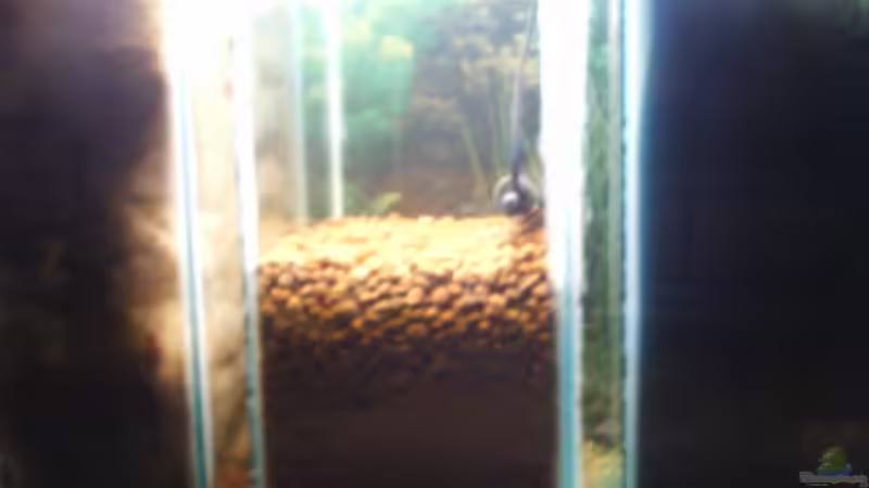 Technik im Aquarium Becken 705 von Dirk Abelshausen (22)