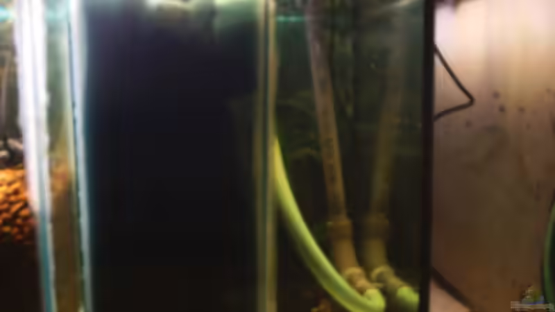 Technik im Aquarium Becken 705 von Dirk Abelshausen (23)