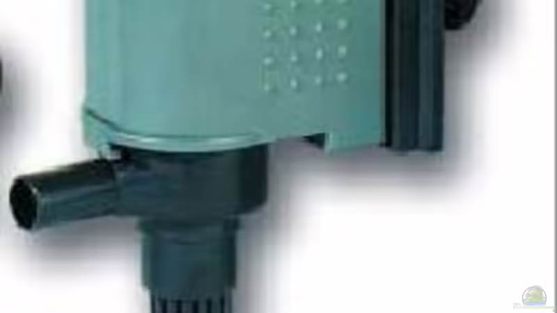 Technik im Aquarium Becken 7108 von Marco Vasev (13)