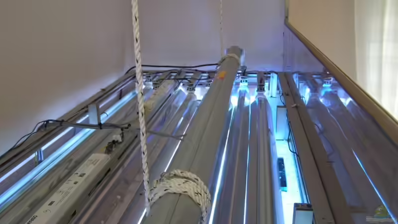 Technik im Aquarium Becken 7113 von Daniel Schmidt (23)