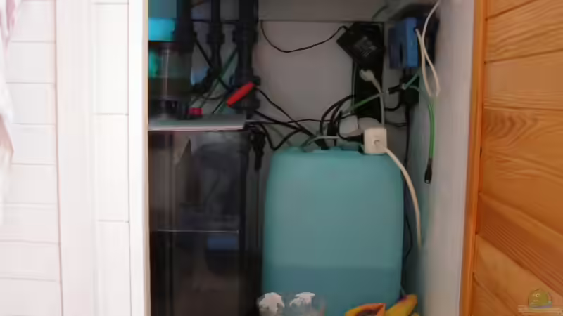 Technik im Aquarium Becken 7113 von Daniel Schmidt (26)