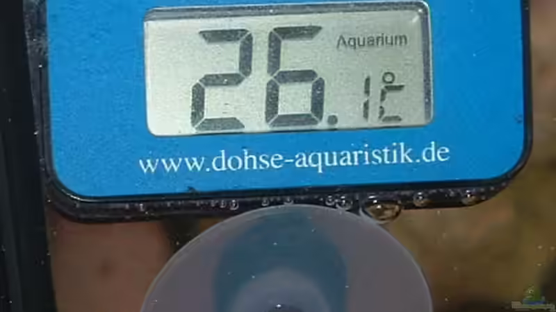 Technik im Aquarium Becken 7135 von lucky-luke.ch (23)