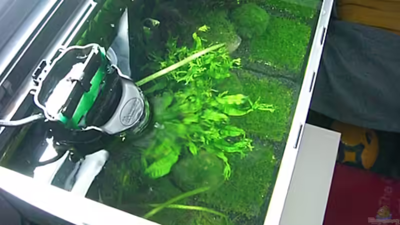 Technik im Aquarium Becken 7307 von Christian Dornieden (10)