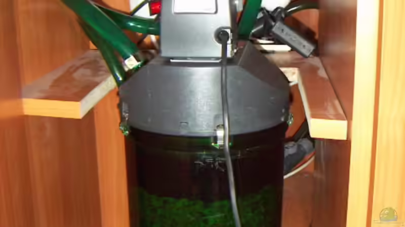 Technik im Aquarium Becken 7340 von Rolf Göken (12)