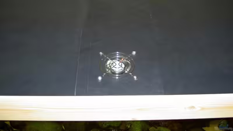 Technik im Aquarium Becken 7415 von Martin Vajs (9)