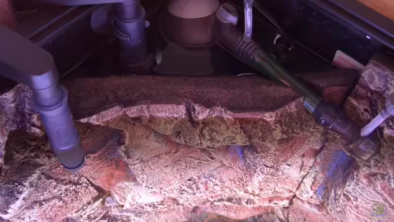 Technik im Aquarium Becken 7438 von Rico Köhler (7)