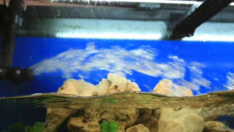 Technik im Aquarium Becken 7579 von Steffen Kluge (8)