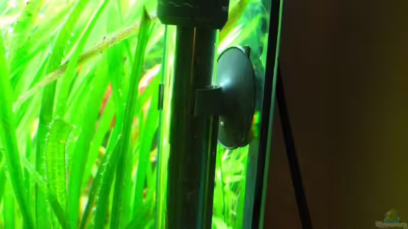 Technik im Aquarium Becken 7584 von André Martin (12)