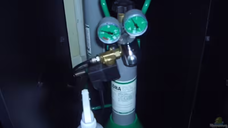 Technik im Aquarium Becken 7588 von Markus Gura (15)