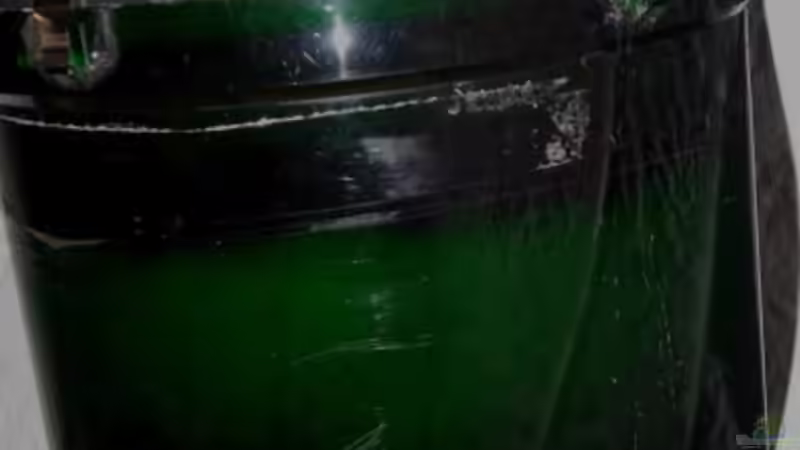 Technik im Aquarium Becken 7591 von J.Liebold (11)