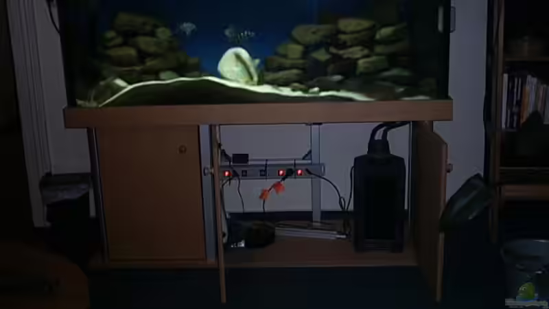 Technik im Aquarium Becken 7791 von Tobias Kersting (6)