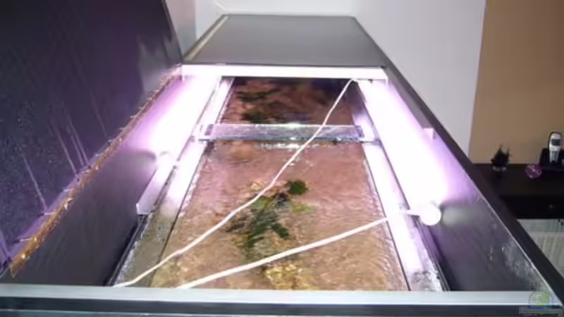 Technik im Aquarium Becken 7944 von Stelze (4)