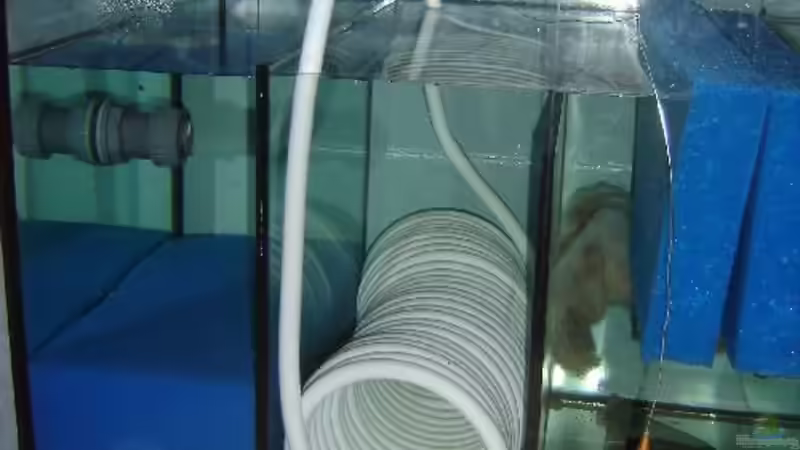 Technik im Aquarium Becken 8016 von Christian Höhne (5)