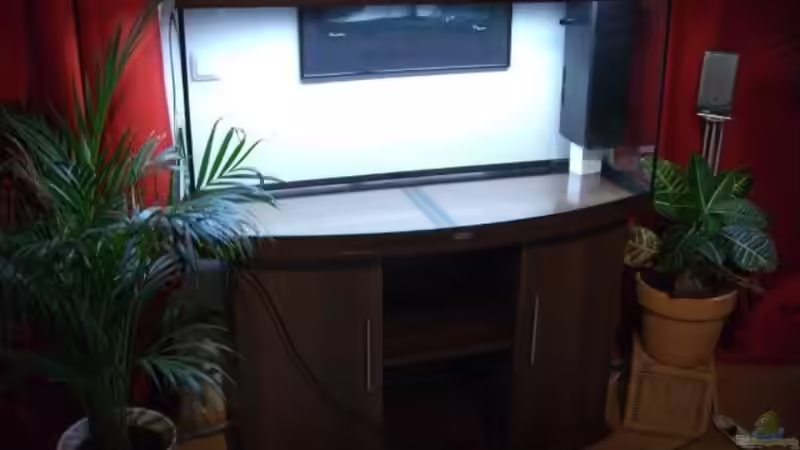 Technik im Aquarium Becken 8027 von Markus K. (14)