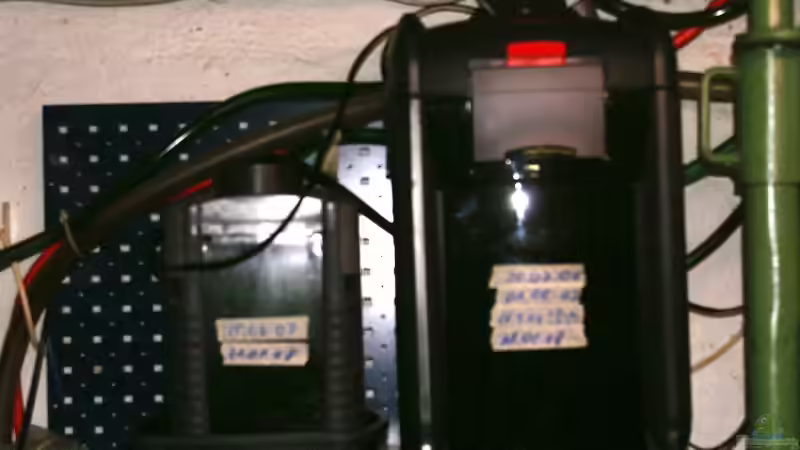 Technik im Aquarium Becken 8353 von Thomas Dresch (8)