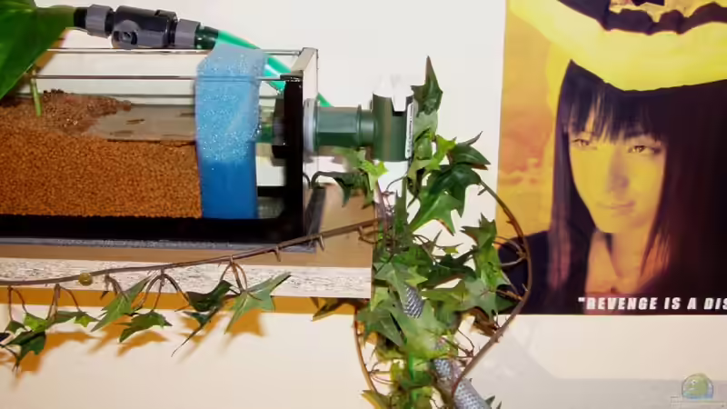 Technik im Aquarium Becken 840 von Alexander Schimmelpfennig (4)