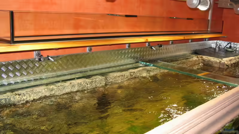 Technik im Aquarium Becken 840 von Alexander Schimmelpfennig (5)