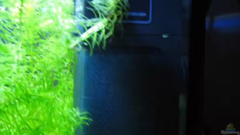 Technik im Aquarium Becken 8495 von Speci (5)