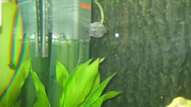 Technik im Aquarium Becken 8524 von Solle (5)