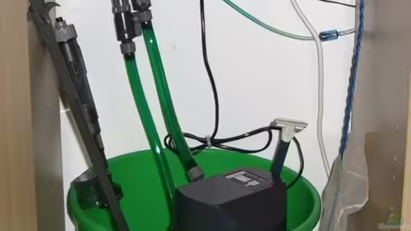 Technik im Aquarium Becken 8544 von Mark Luigart (3)