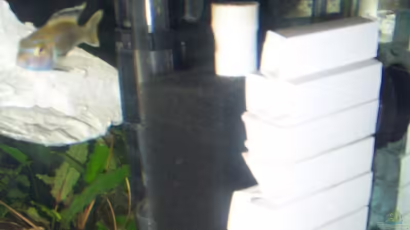 Technik im Aquarium Becken 8560 von J.Liebold (12)