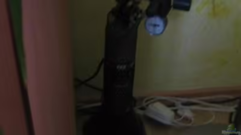 Technik im Aquarium Becken 8690 von Ingo Böddrich (5)