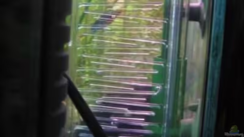 Technik im Aquarium Becken 8690 von Ingo Böddrich (6)