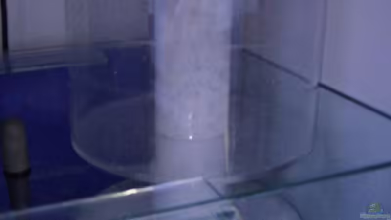 Technik im Aquarium Becken 8816 von Rainer Stilcke (24)